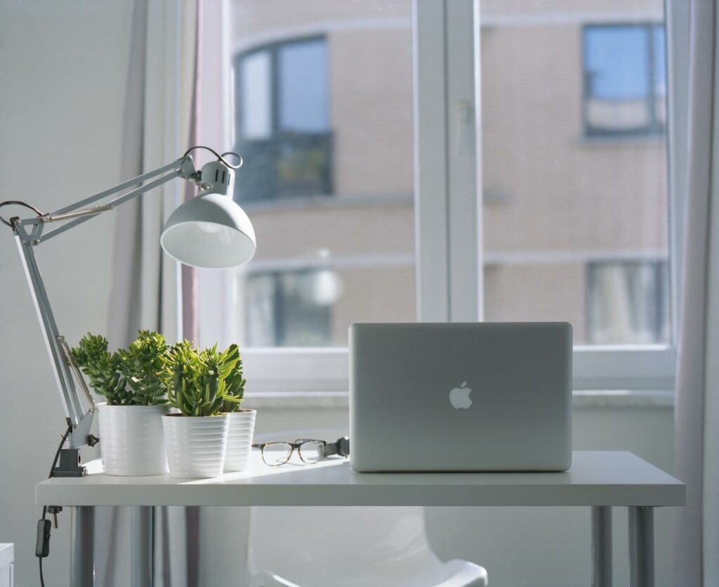 Bright modern workspace with laptop, potted plants, and desk lamp near a window.