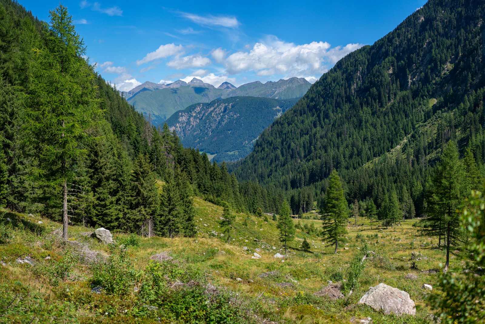 A view of a valley with mountains in the background